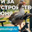 В Хакасии стартовало Всероссийское онлайн-голосование за объекты благоустройства - Администрация Аскизского района